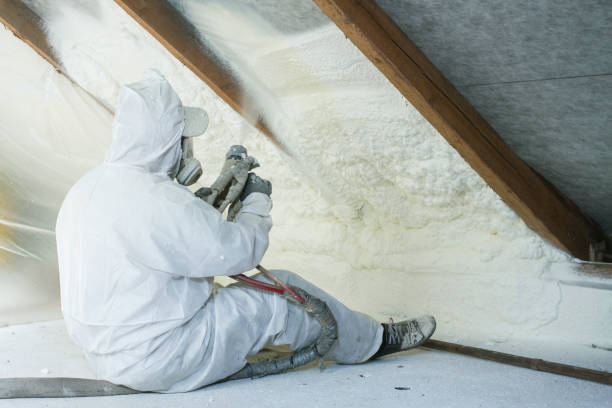 Best Eco-Friendly or Green Insulation Solutions in Albany, MO